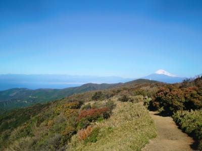 f:id:bimyourunner:20101119095254j:image