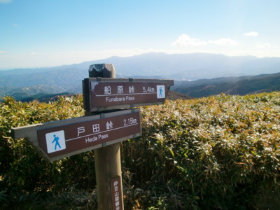 f:id:bimyourunner:20101119101331j:image