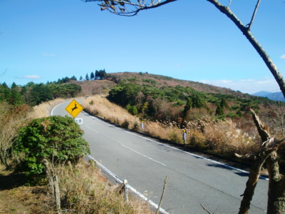 f:id:bimyourunner:20101119114432j:image