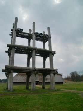f:id:bimyourunner:20101205105427j:image