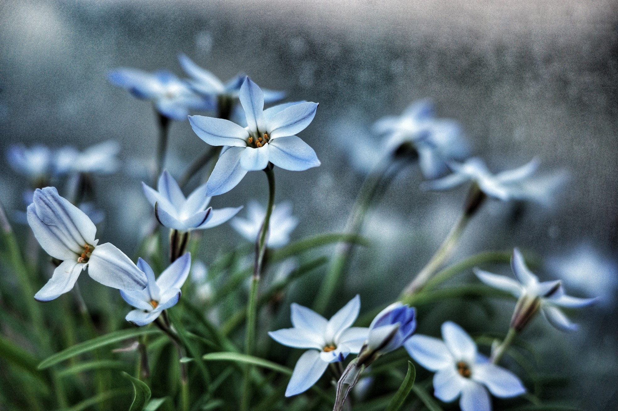 f:id:bin-paku:20230519223010j:image