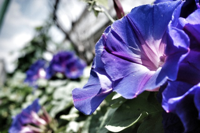 f:id:bin-paku:20230625164054j:image