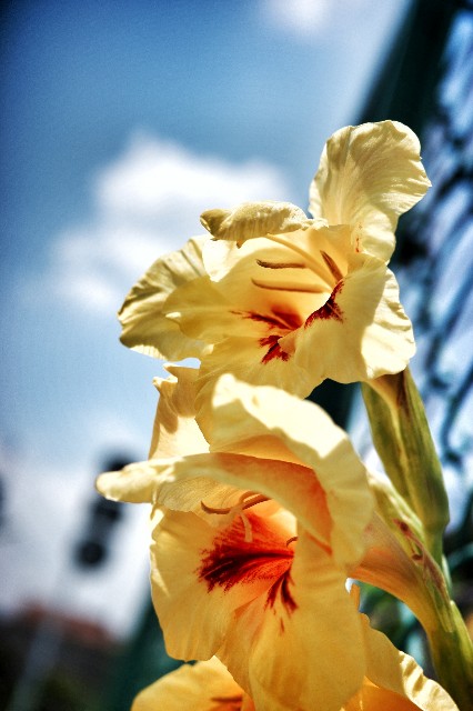 f:id:bin-paku:20230625164151j:image
