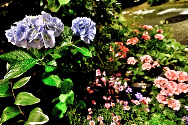 f:id:bin-paku:20230629114842j:image