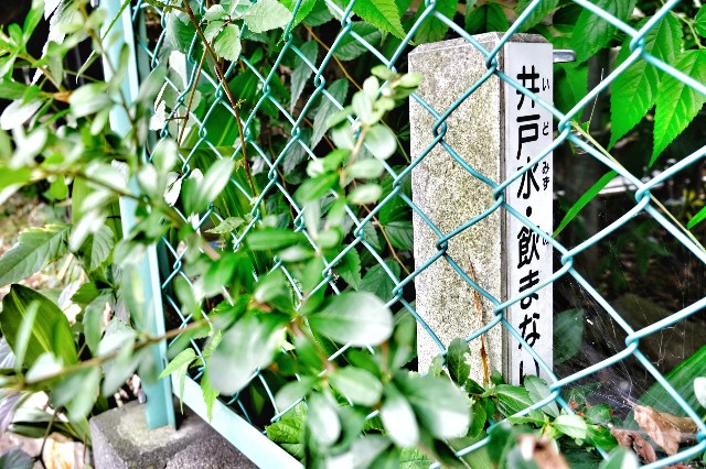 f:id:bin-paku:20230705091820j:image f:id:bin-paku:20230705091820j:image