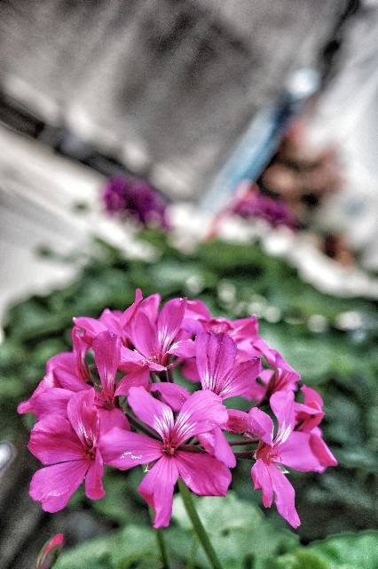 f:id:bin-paku:20230709111748j:image f:id:bin-paku:20230709111748j:image