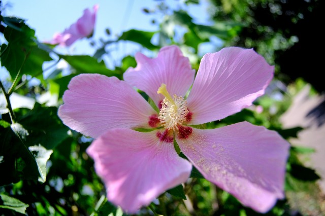 f:id:bin-paku:20230713112342j:image f:id:bin-paku:20230713112342j:image