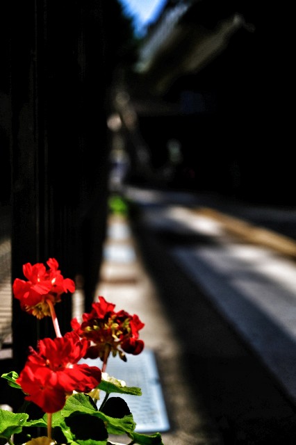 f:id:bin-paku:20230802223241j:image f:id:bin-paku:20230802223241j:image