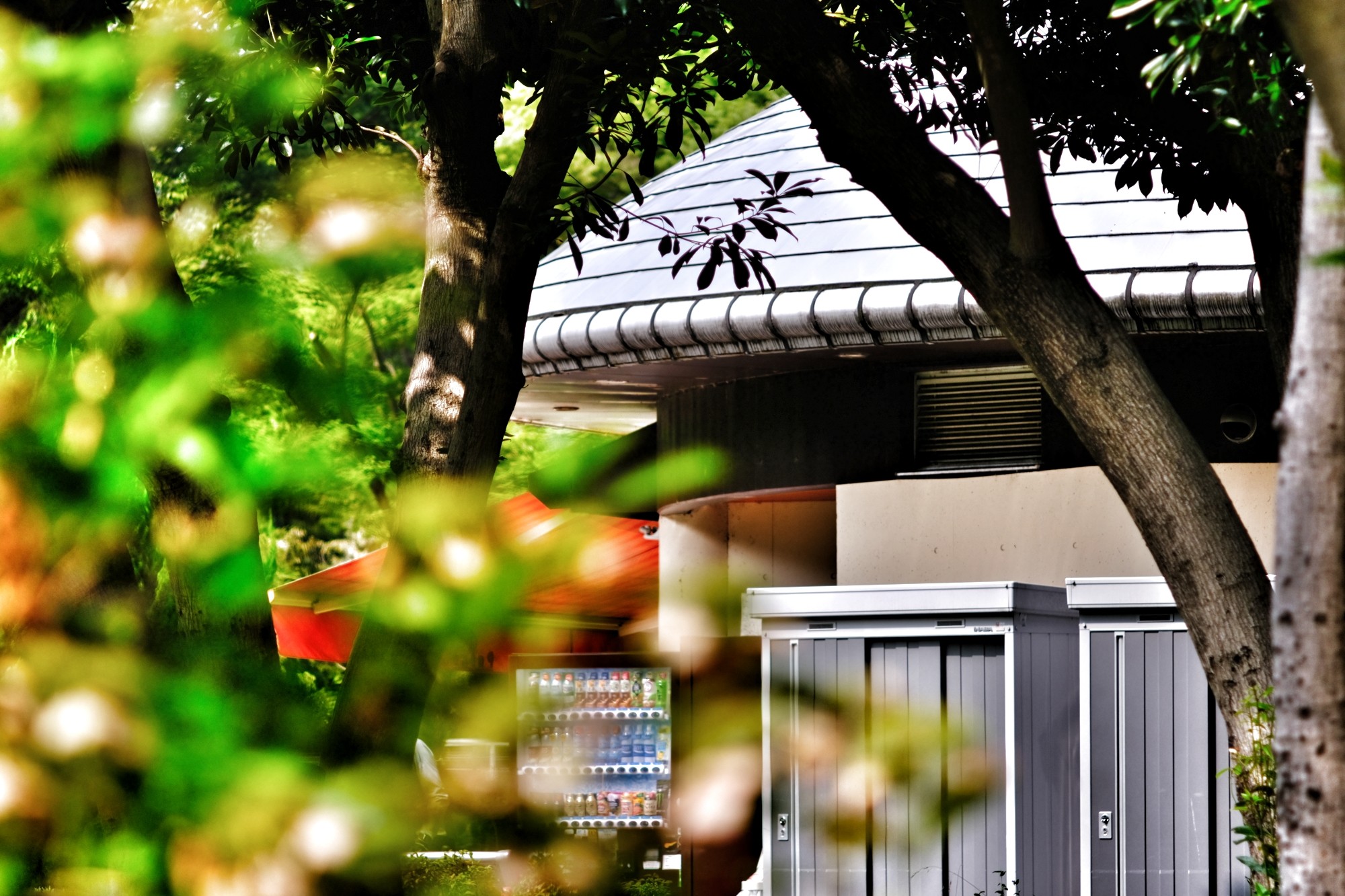 f:id:bin-paku:20230820123957j:image