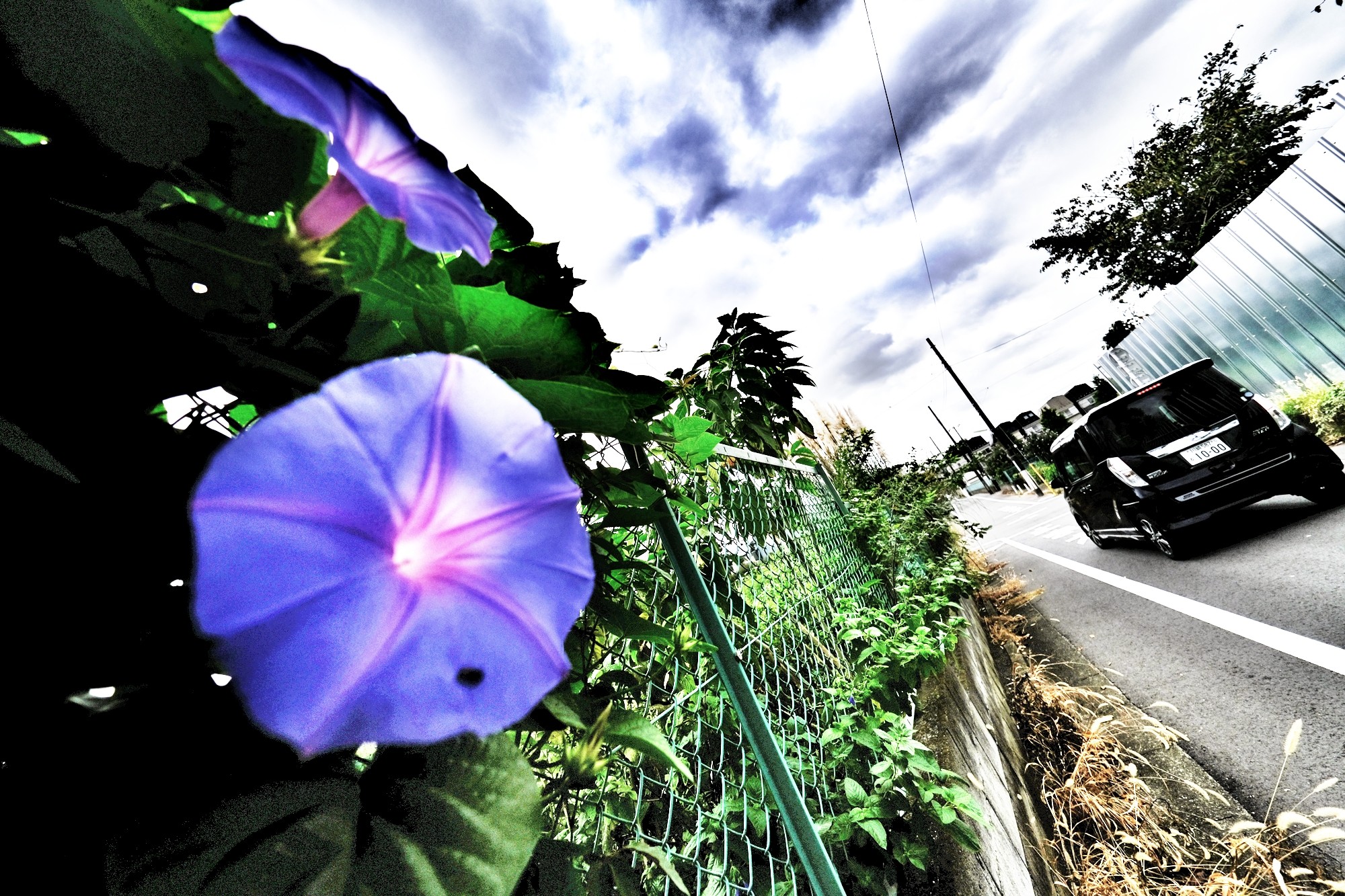 f:id:bin-paku:20230930093418j:image
