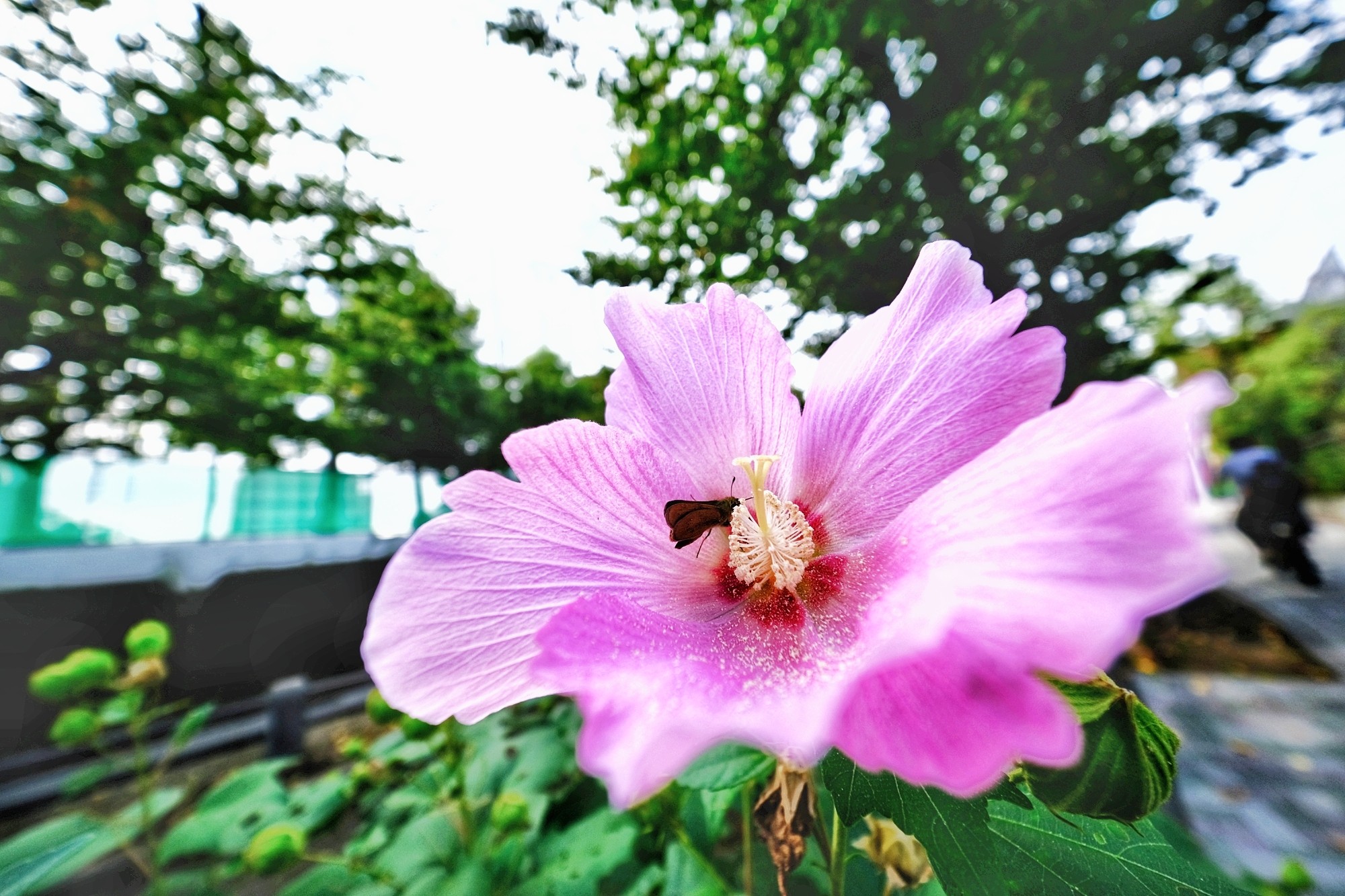 f:id:bin-paku:20231001213254j:image f:id:bin-paku:20231001213254j:image