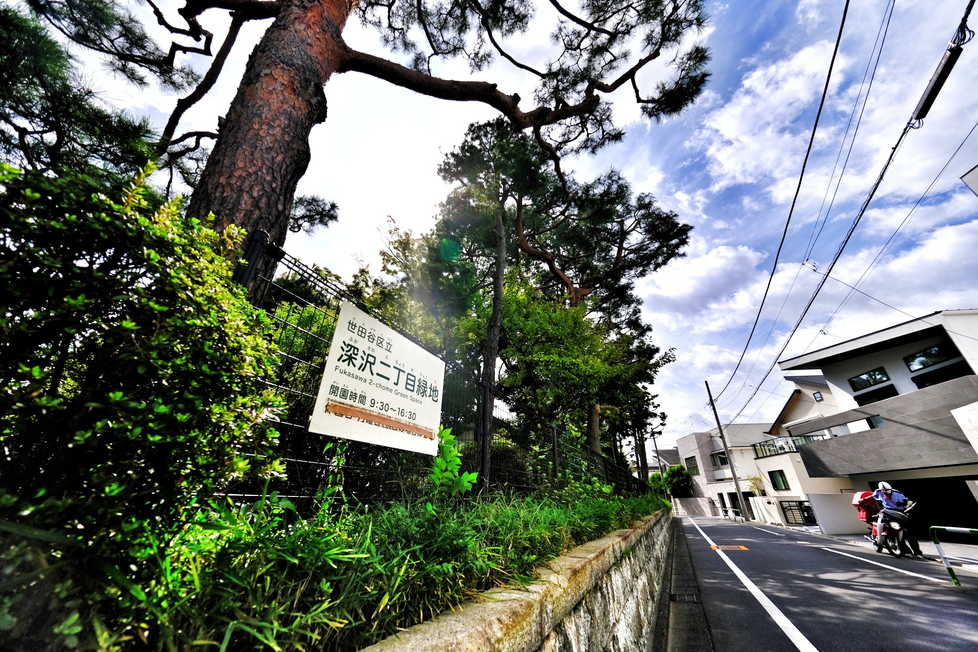 f:id:bin-paku:20231002191140j:image f:id:bin-paku:20231002191140j:image