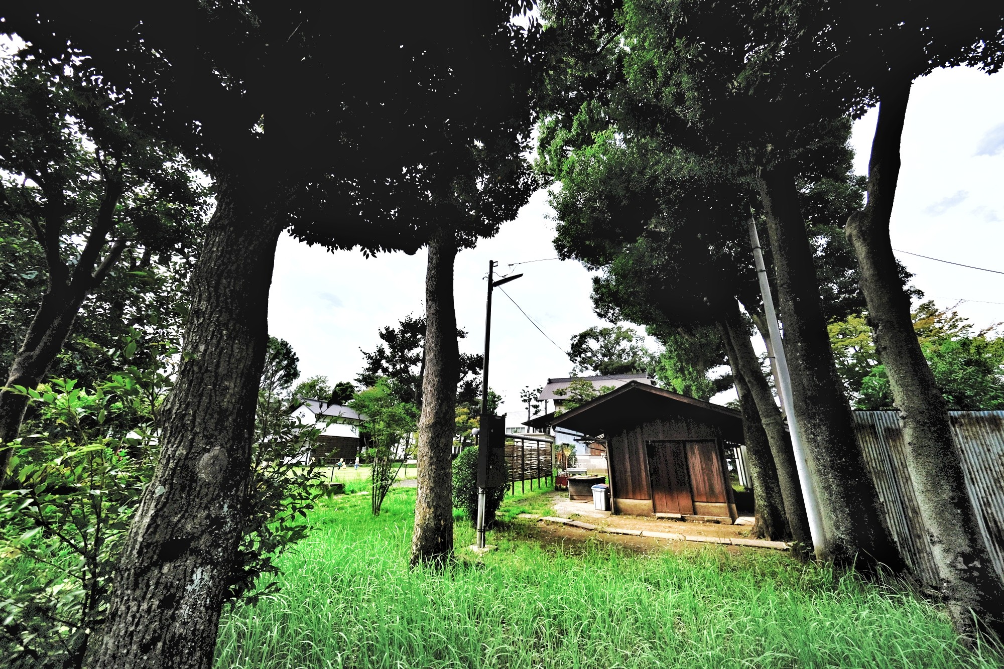 f:id:bin-paku:20231002192105j:image f:id:bin-paku:20231002192105j:image