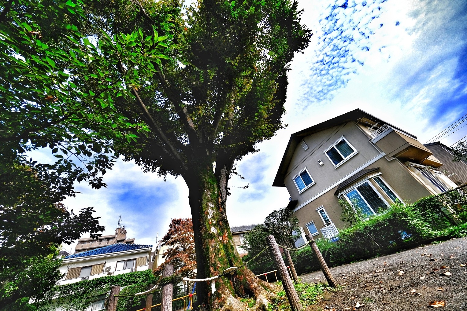 f:id:bin-paku:20231107090240j:image