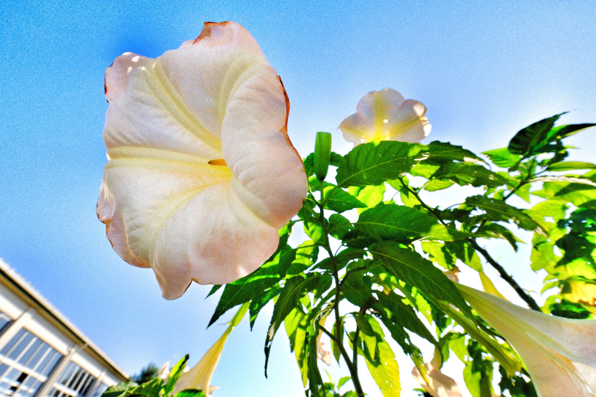 f:id:bin-paku:20231111034053j:image f:id:bin-paku:20231111034053j:image