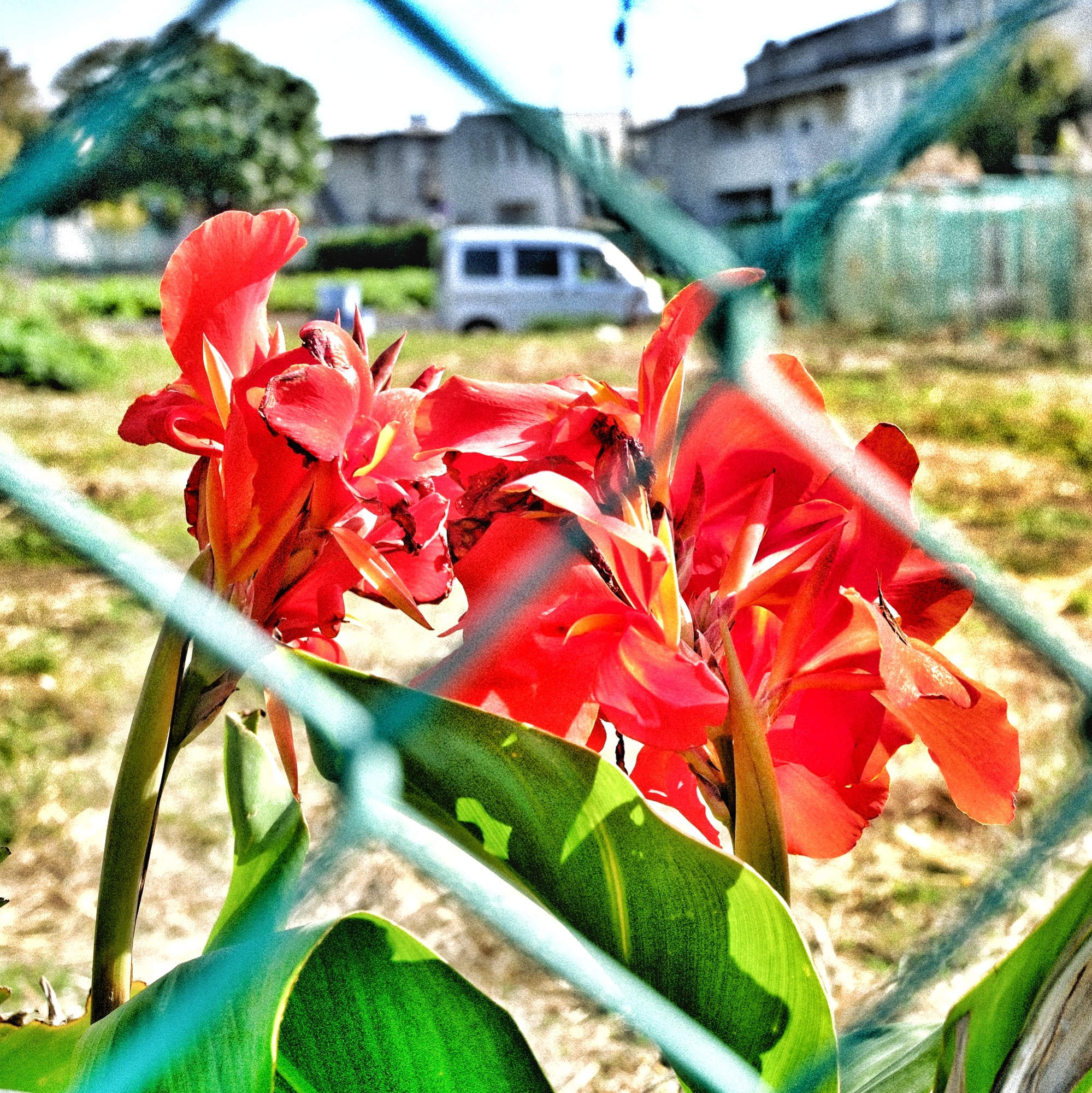 f:id:bin-paku:20231111213307j:image