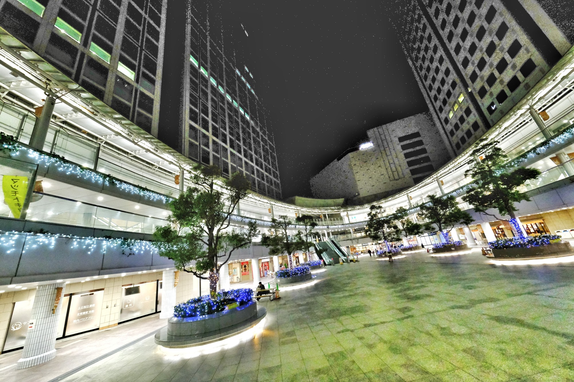f:id:bin-paku:20231125222258j:image