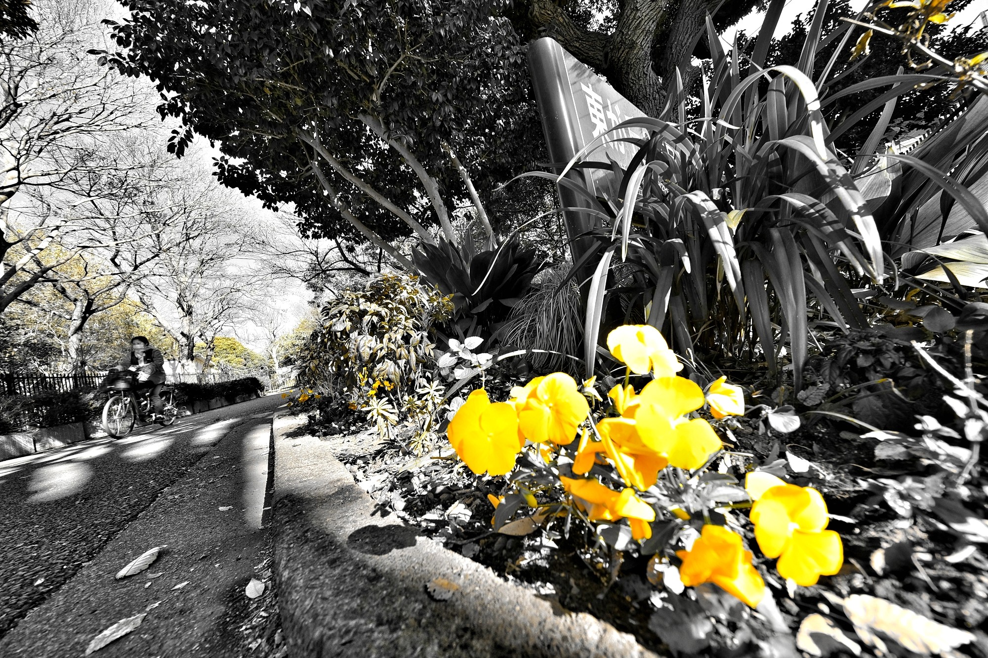 f:id:bin-paku:20231221111208j:image