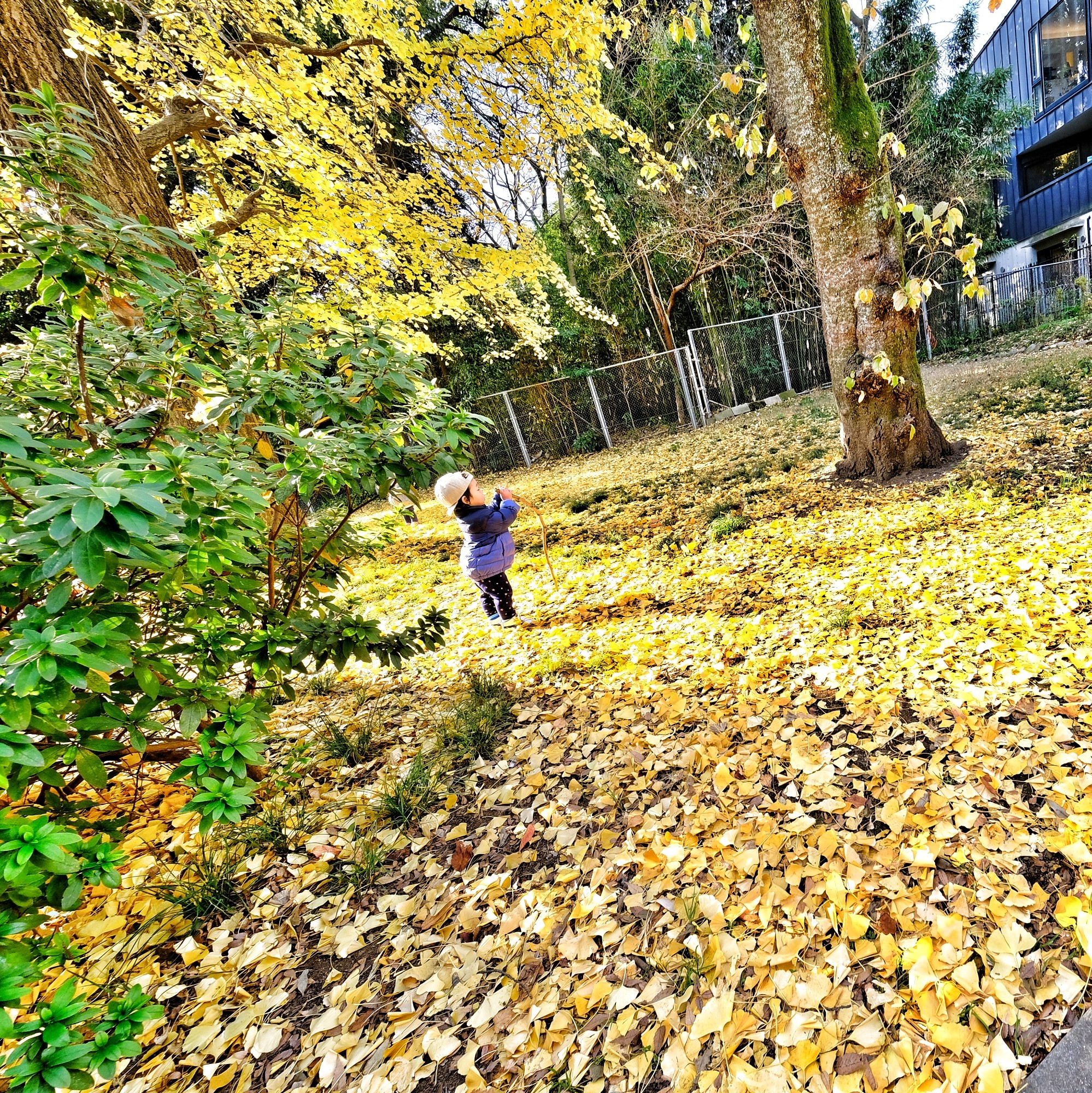 f:id:bin-paku:20231228115434j:image