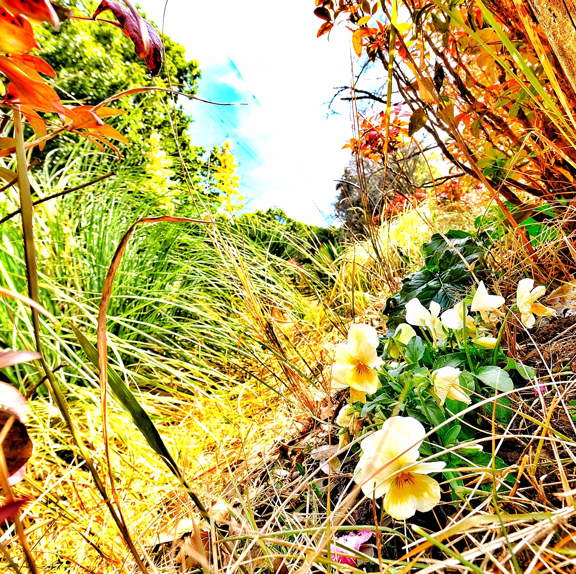 f:id:bin-paku:20231231041538j:image