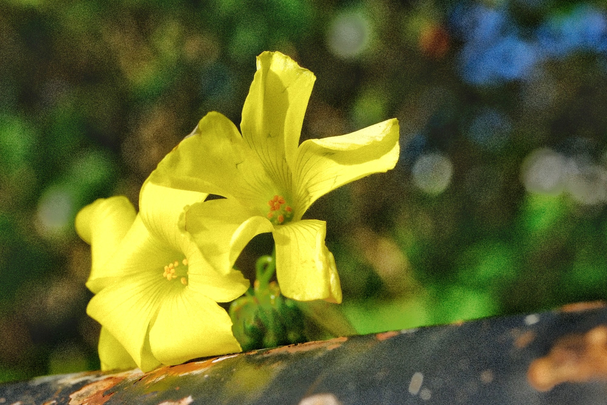 f:id:bin-paku:20240125121753j:image