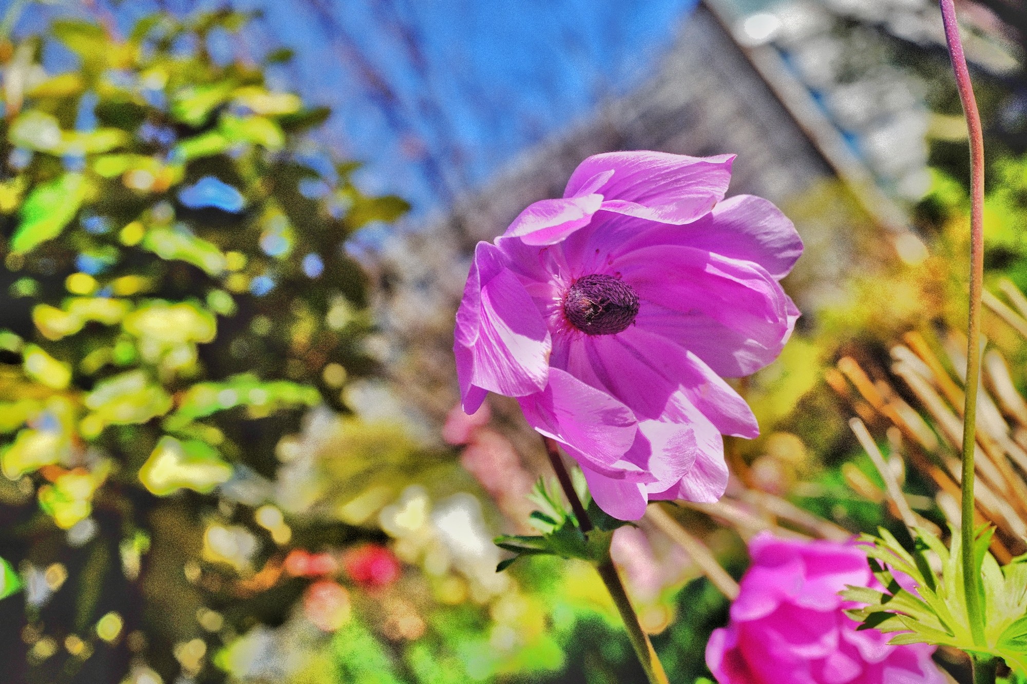 f:id:bin-paku:20240125122013j:image
