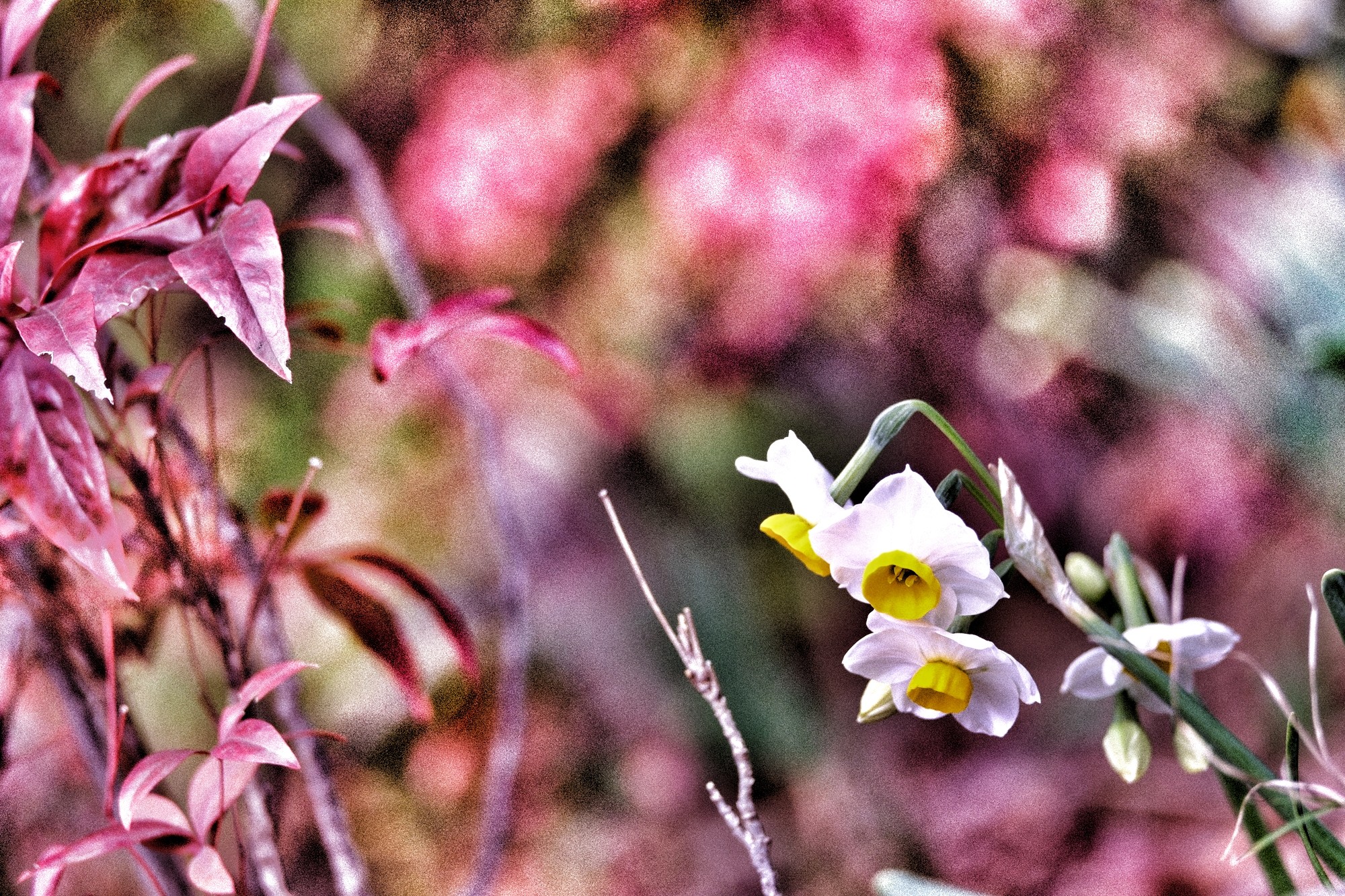 f:id:bin-paku:20240201110037j:image