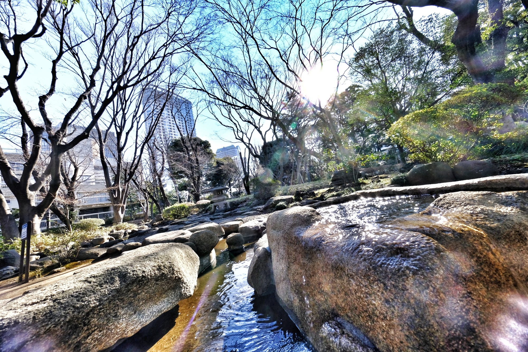 f:id:bin-paku:20240202224111j:image