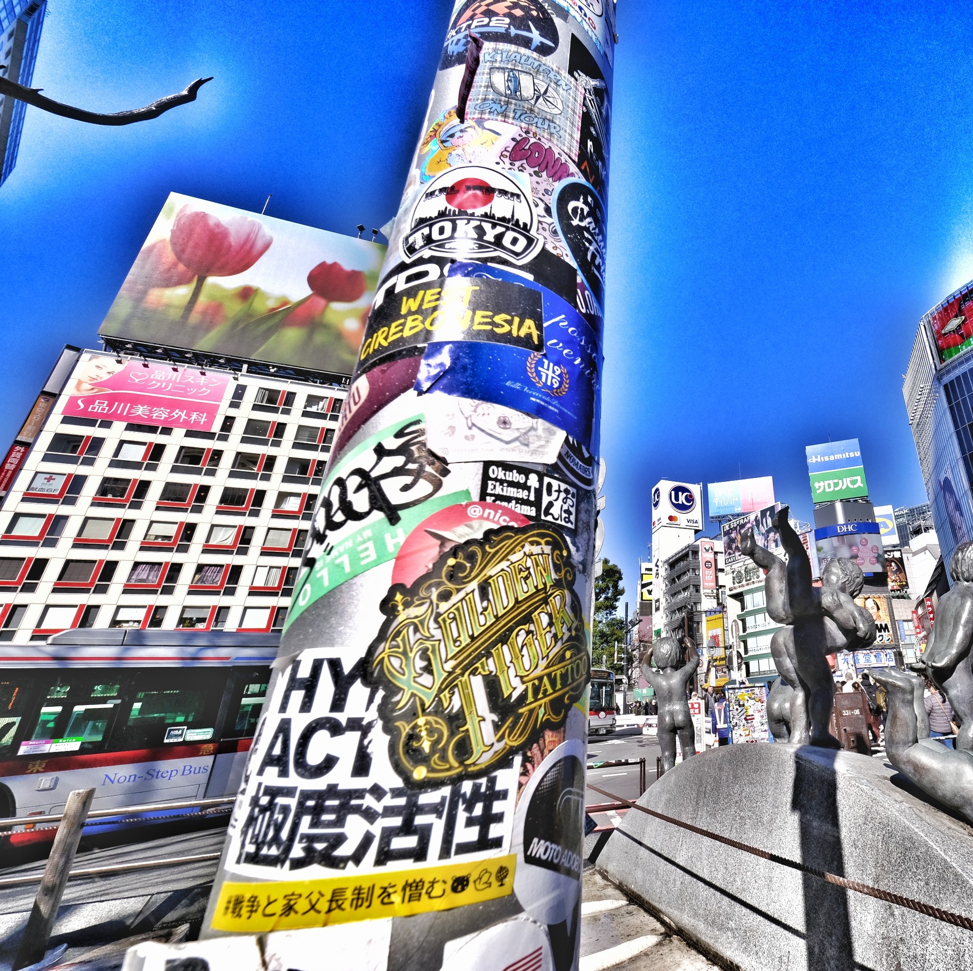 f:id:bin-paku:20240227094703j:image f:id:bin-paku:20240227094703j:image