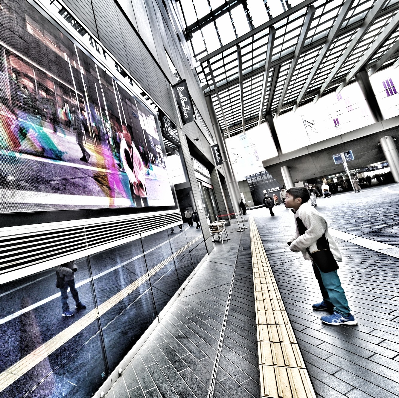 f:id:bin-paku:20240229234636j:image