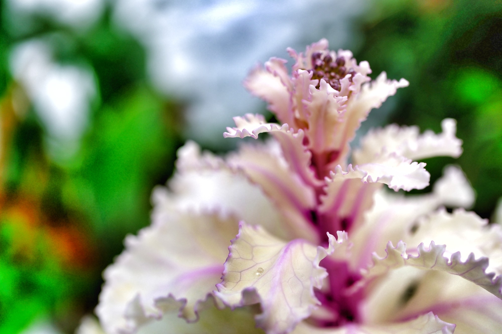 f:id:bin-paku:20240308120546j:image f:id:bin-paku:20240308120546j:image