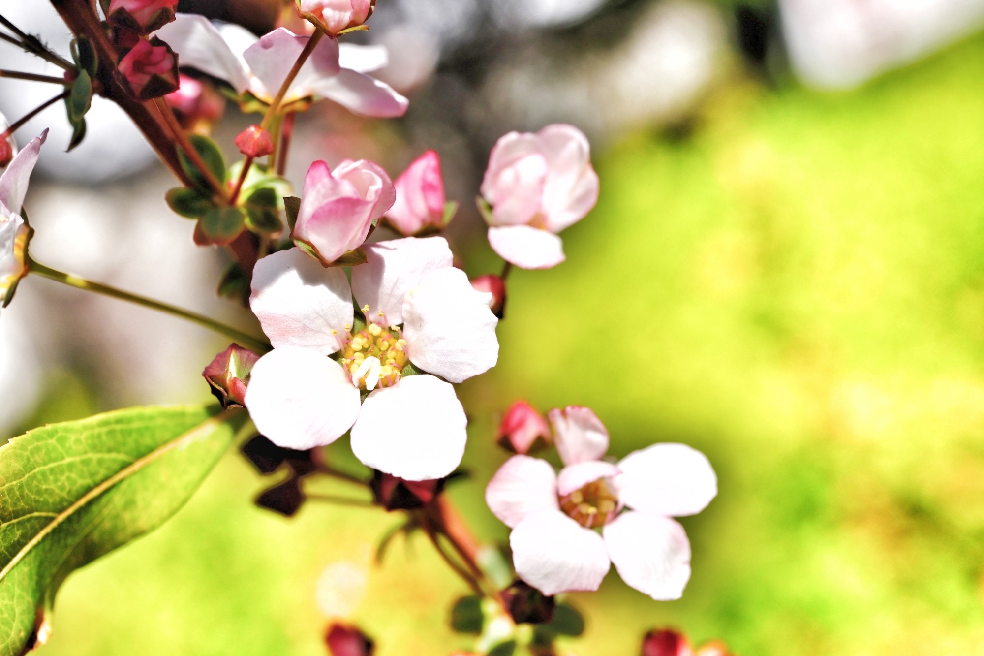 f:id:bin-paku:20240314145804j:image