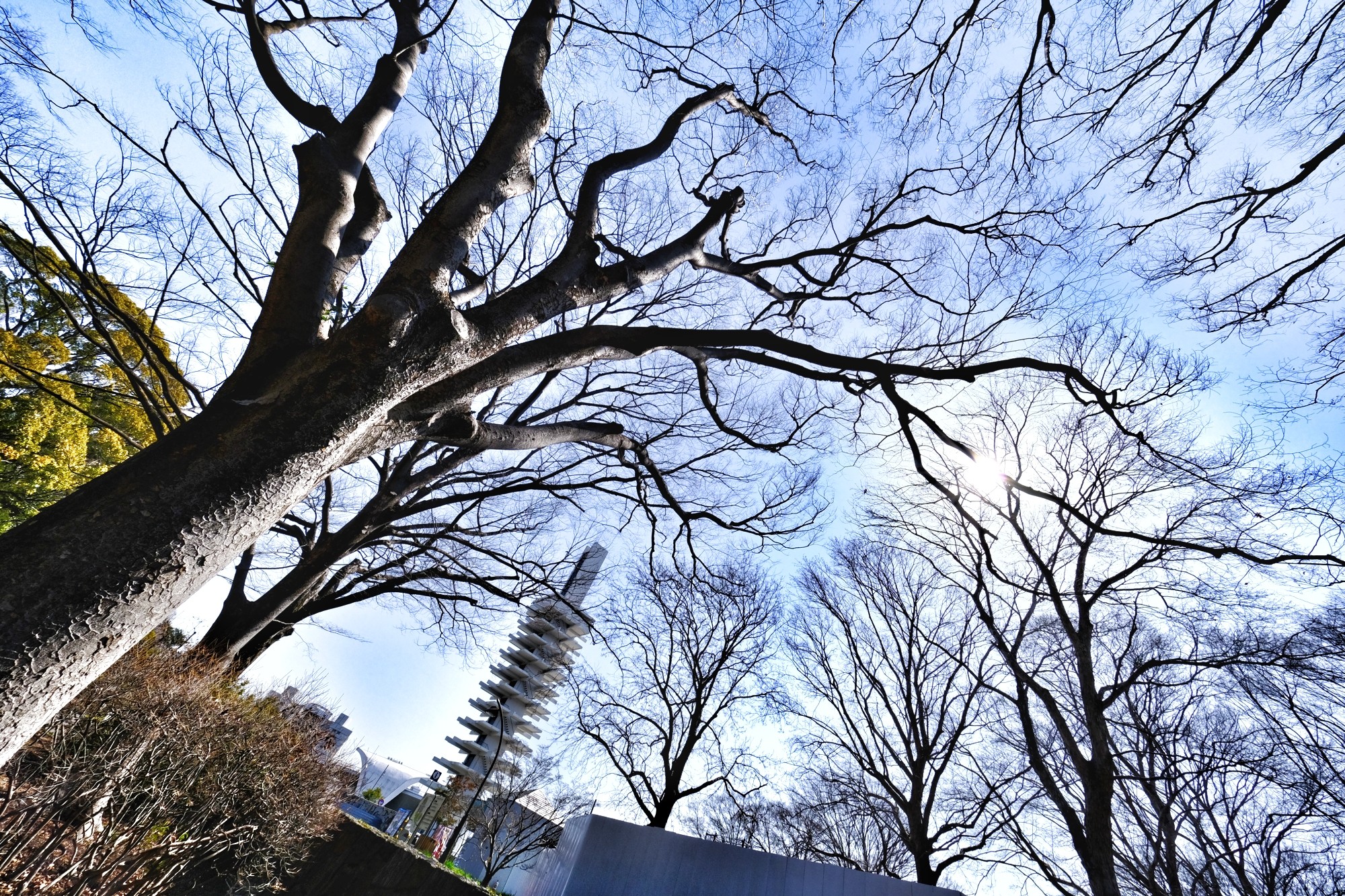 f:id:bin-paku:20240315121130j:image