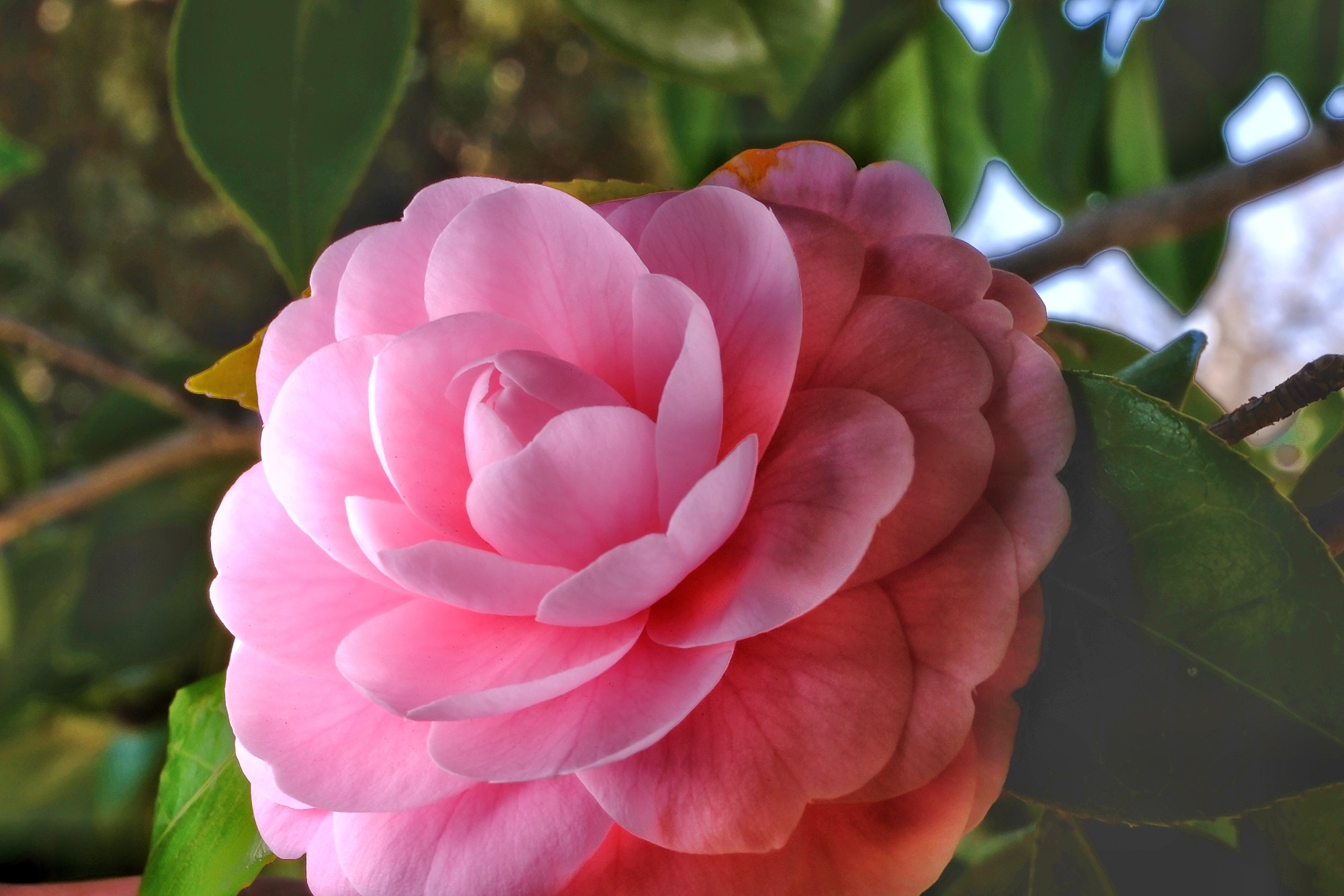 f:id:bin-paku:20240320110319j:image f:id:bin-paku:20240320110319j:image