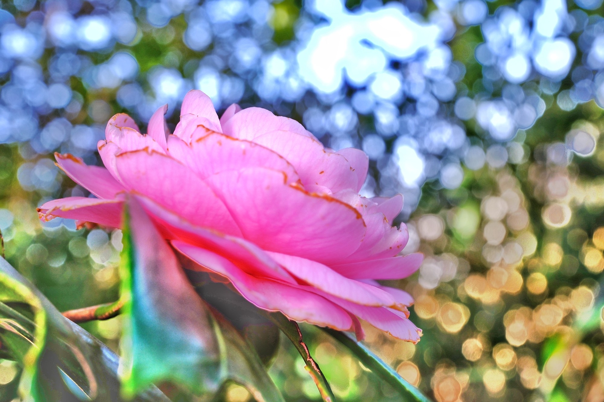 f:id:bin-paku:20240321174640j:image f:id:bin-paku:20240321174640j:image