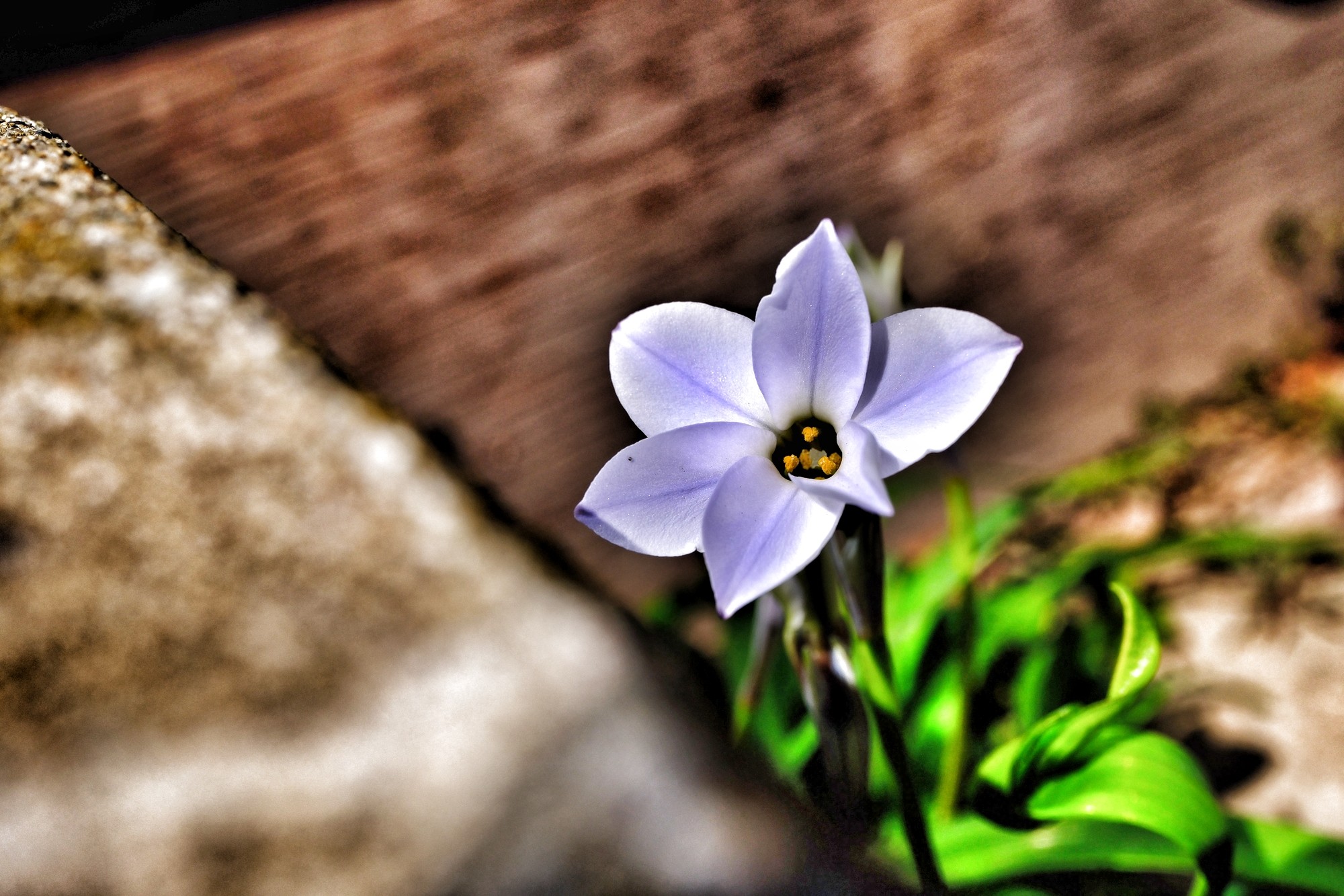 f:id:bin-paku:20240322123345j:image f:id:bin-paku:20240322123345j:image