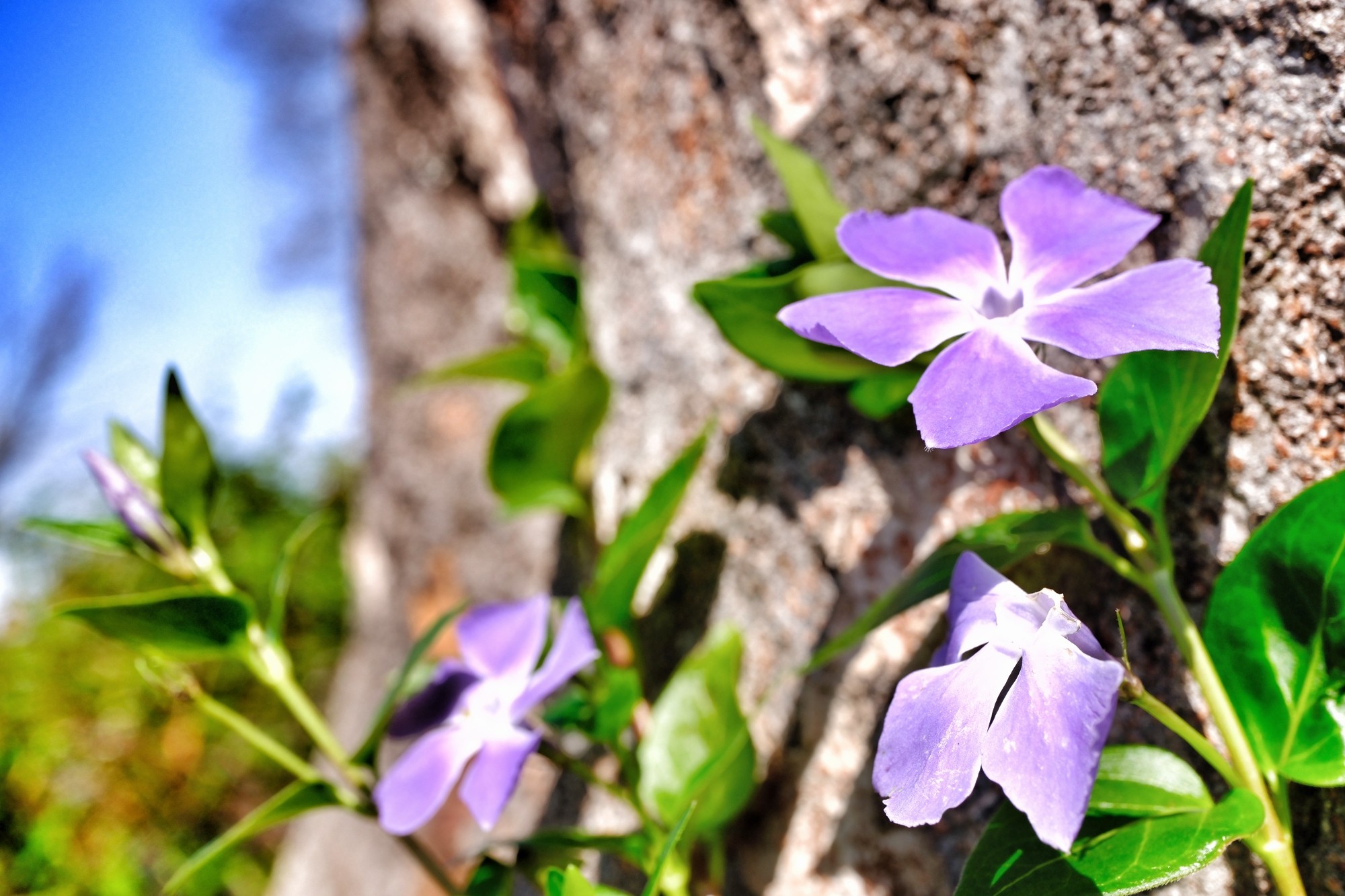 f:id:bin-paku:20240331120148j:image