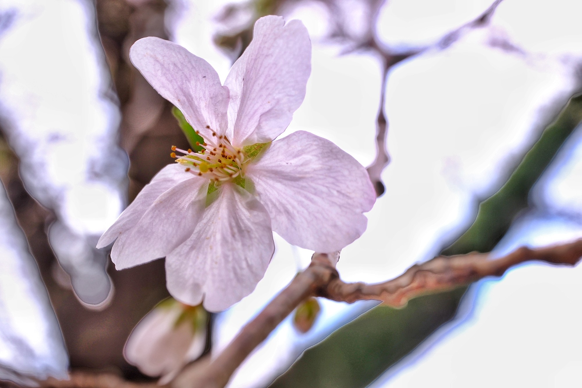 f:id:bin-paku:20240401215547j:image
