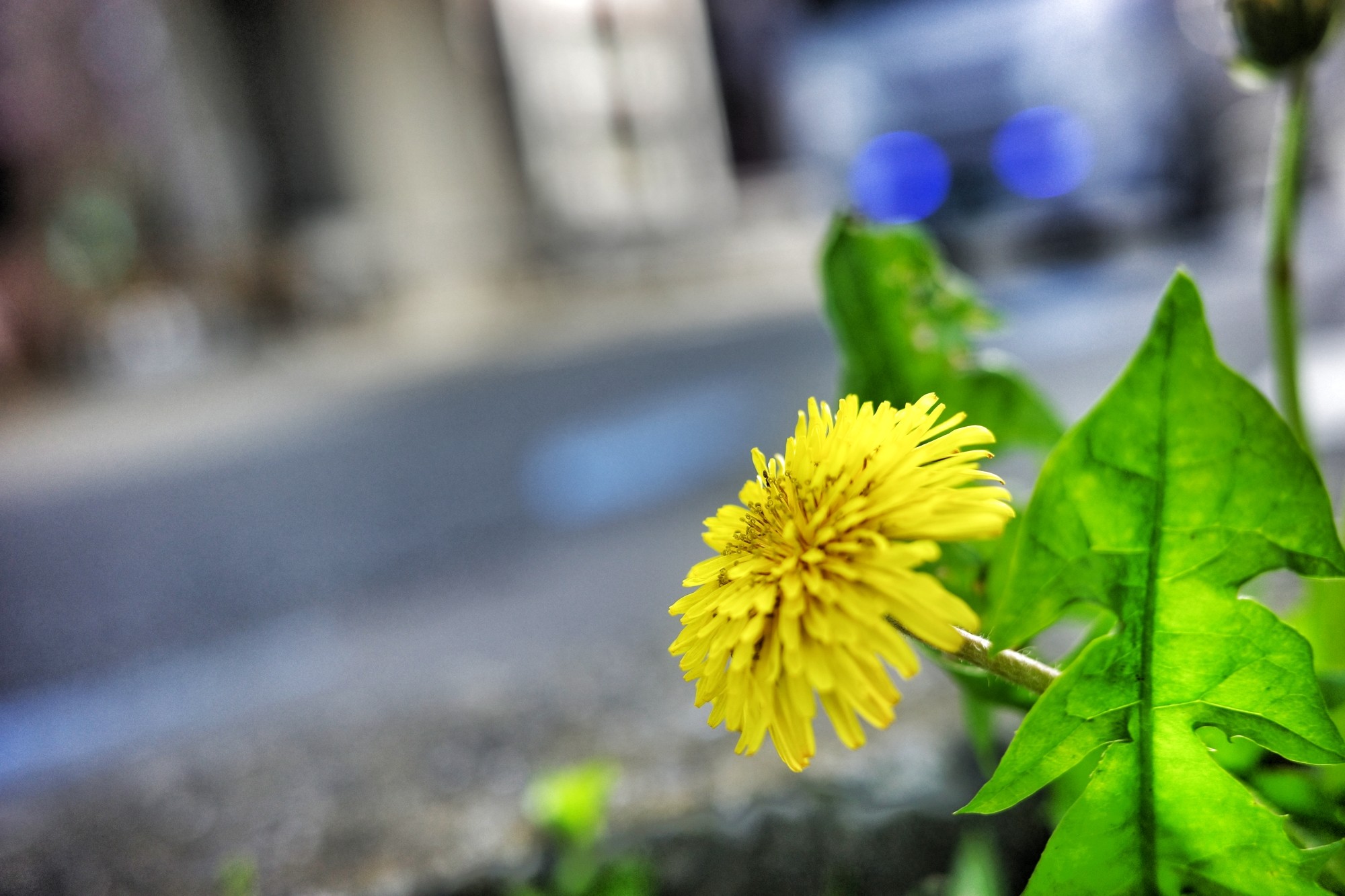f:id:bin-paku:20240413172645j:image f:id:bin-paku:20240413172645j:image