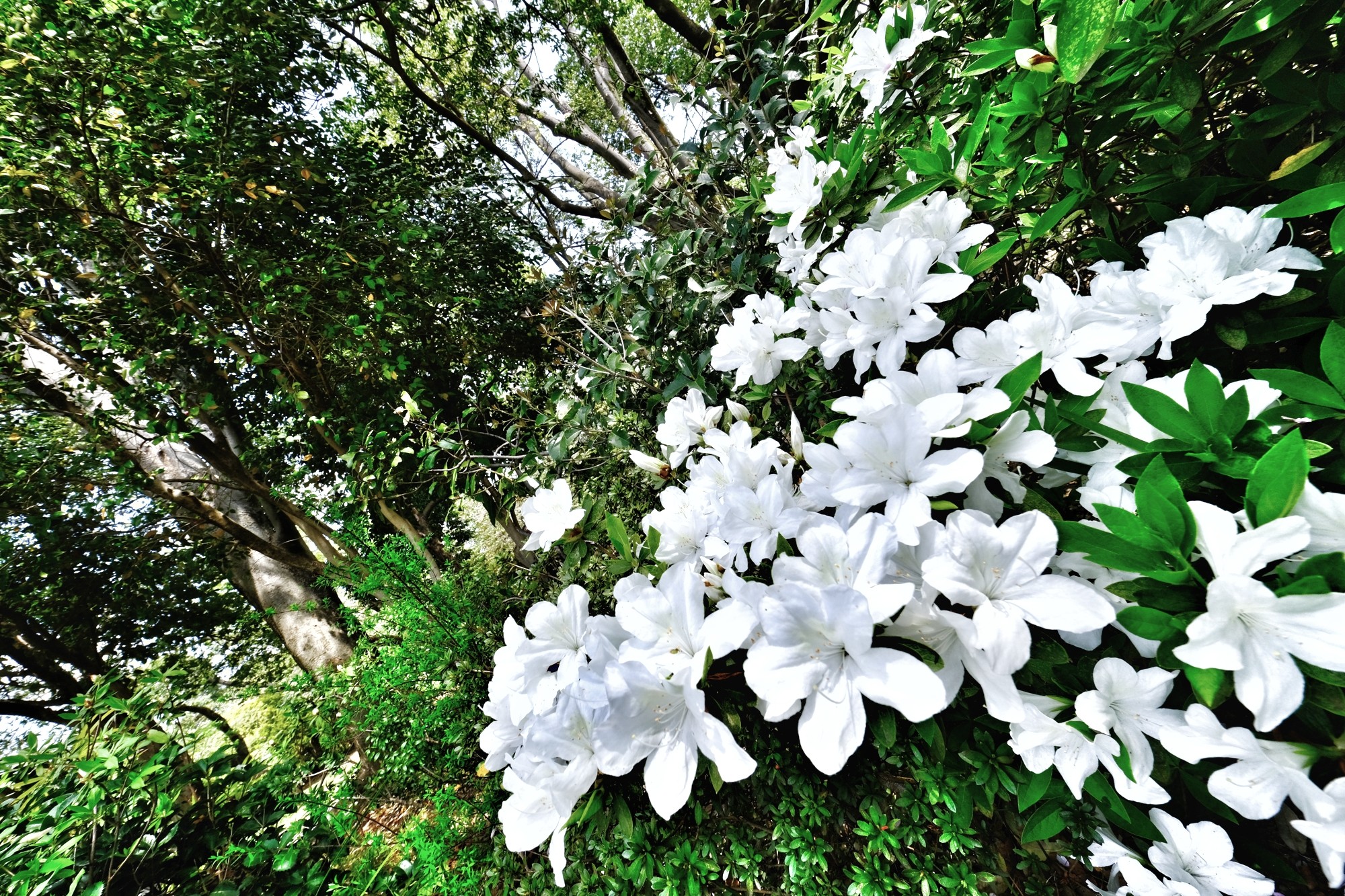 f:id:bin-paku:20240416232916j:image