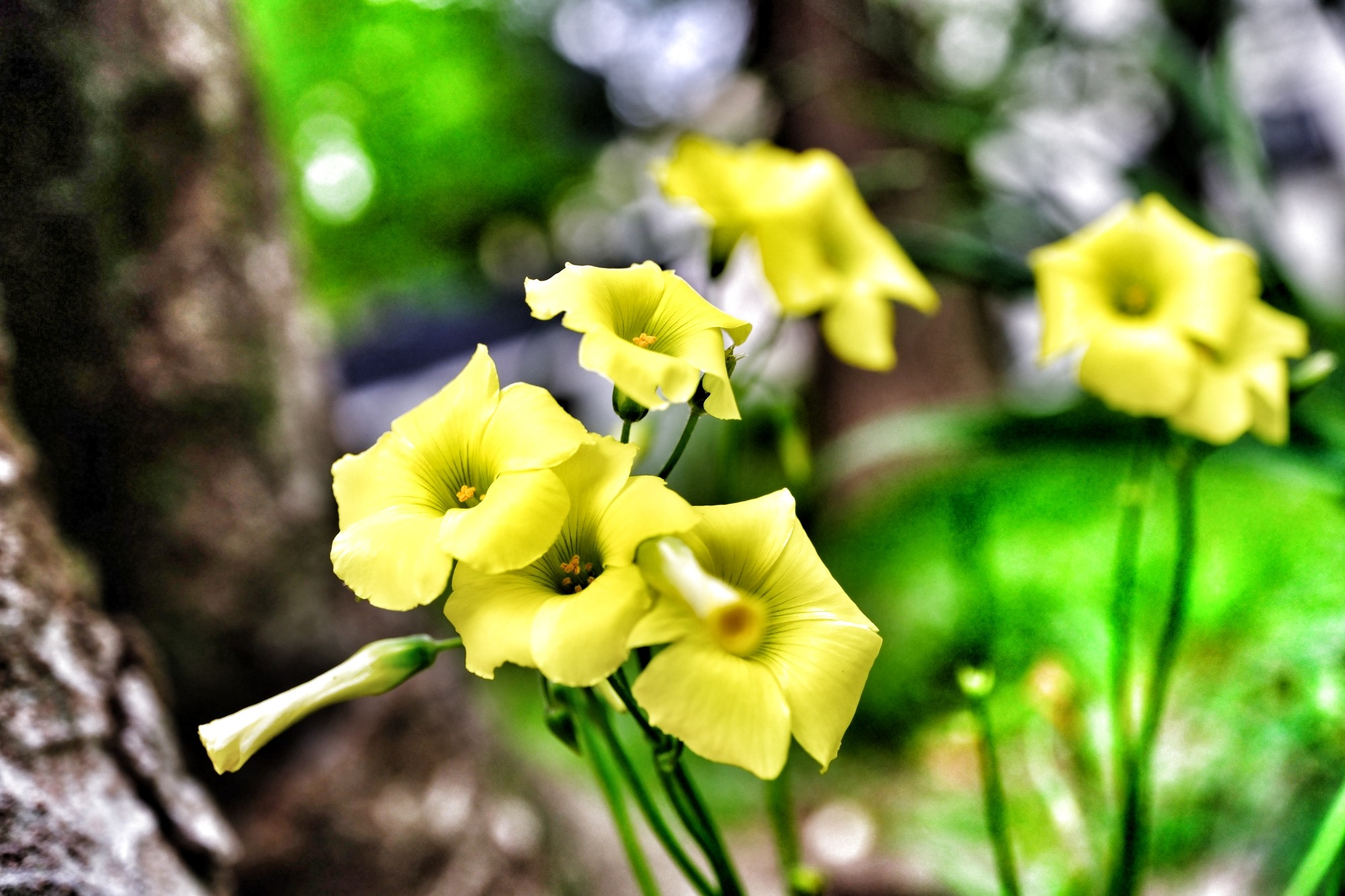 f:id:bin-paku:20240423122732j:image f:id:bin-paku:20240423122732j:image