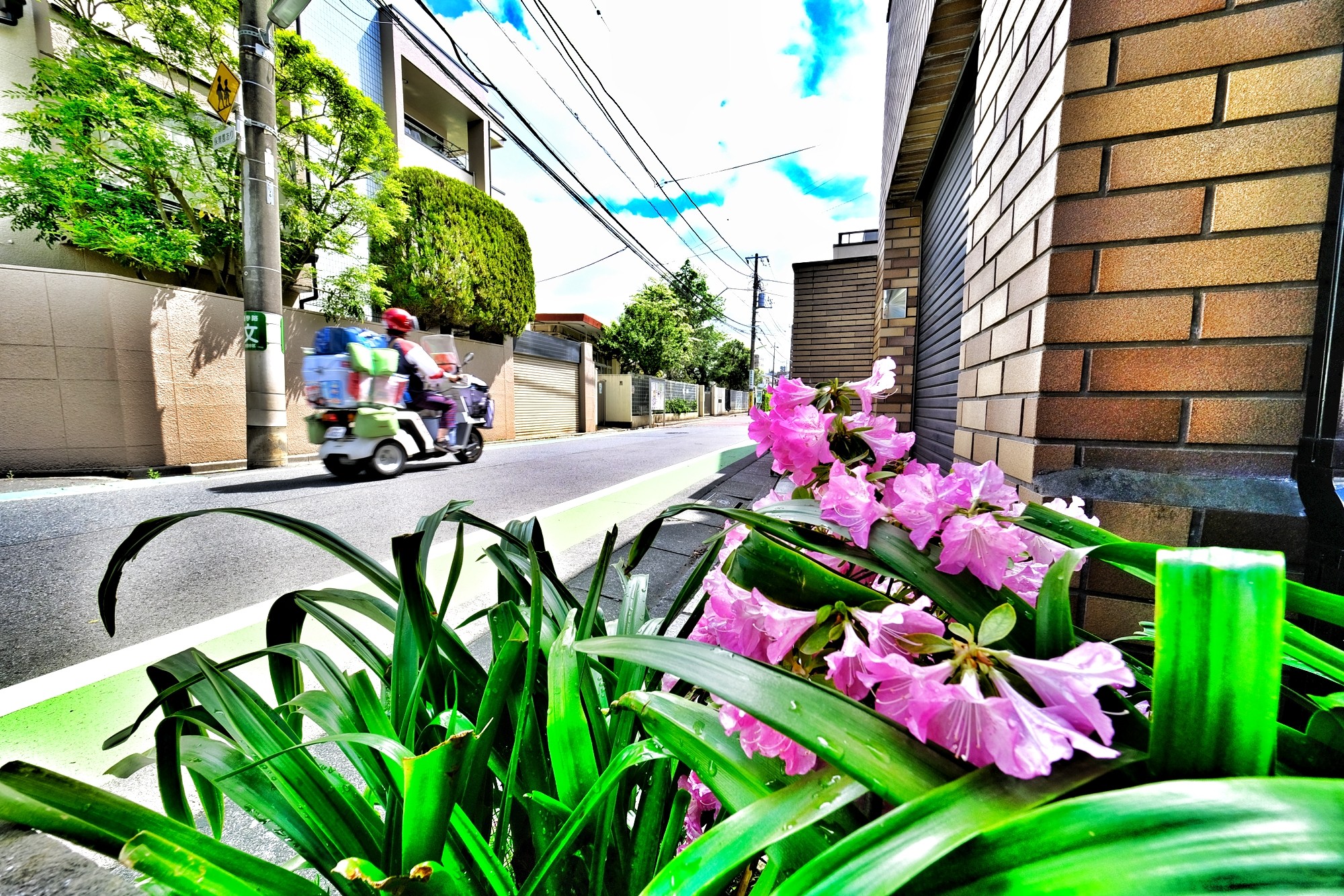 f:id:bin-paku:20240425115307j:image f:id:bin-paku:20240425115307j:image