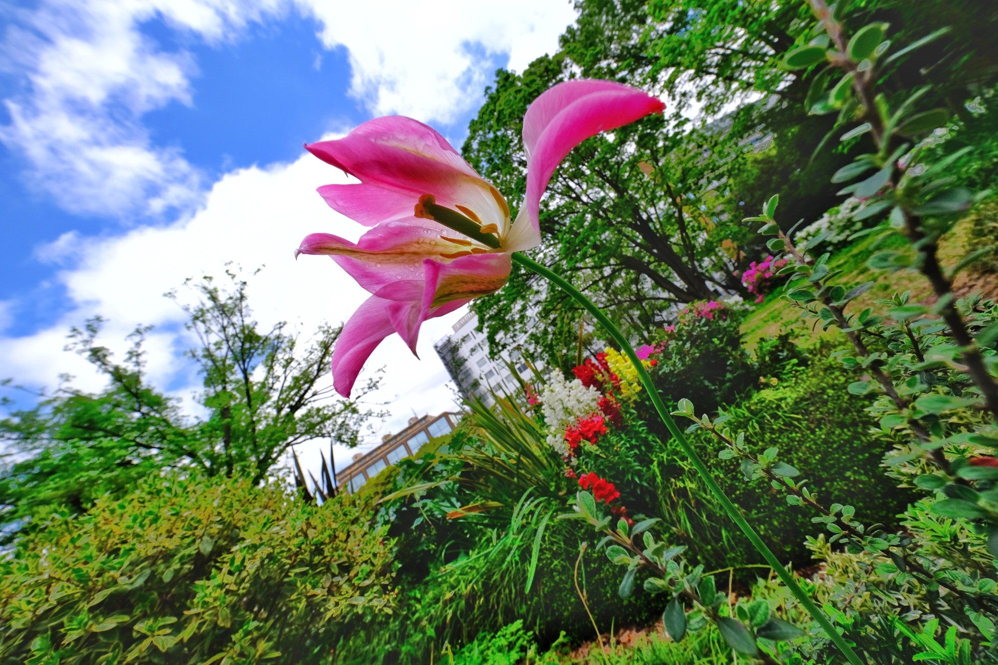 f:id:bin-paku:20240425115449j:image f:id:bin-paku:20240425115449j:image