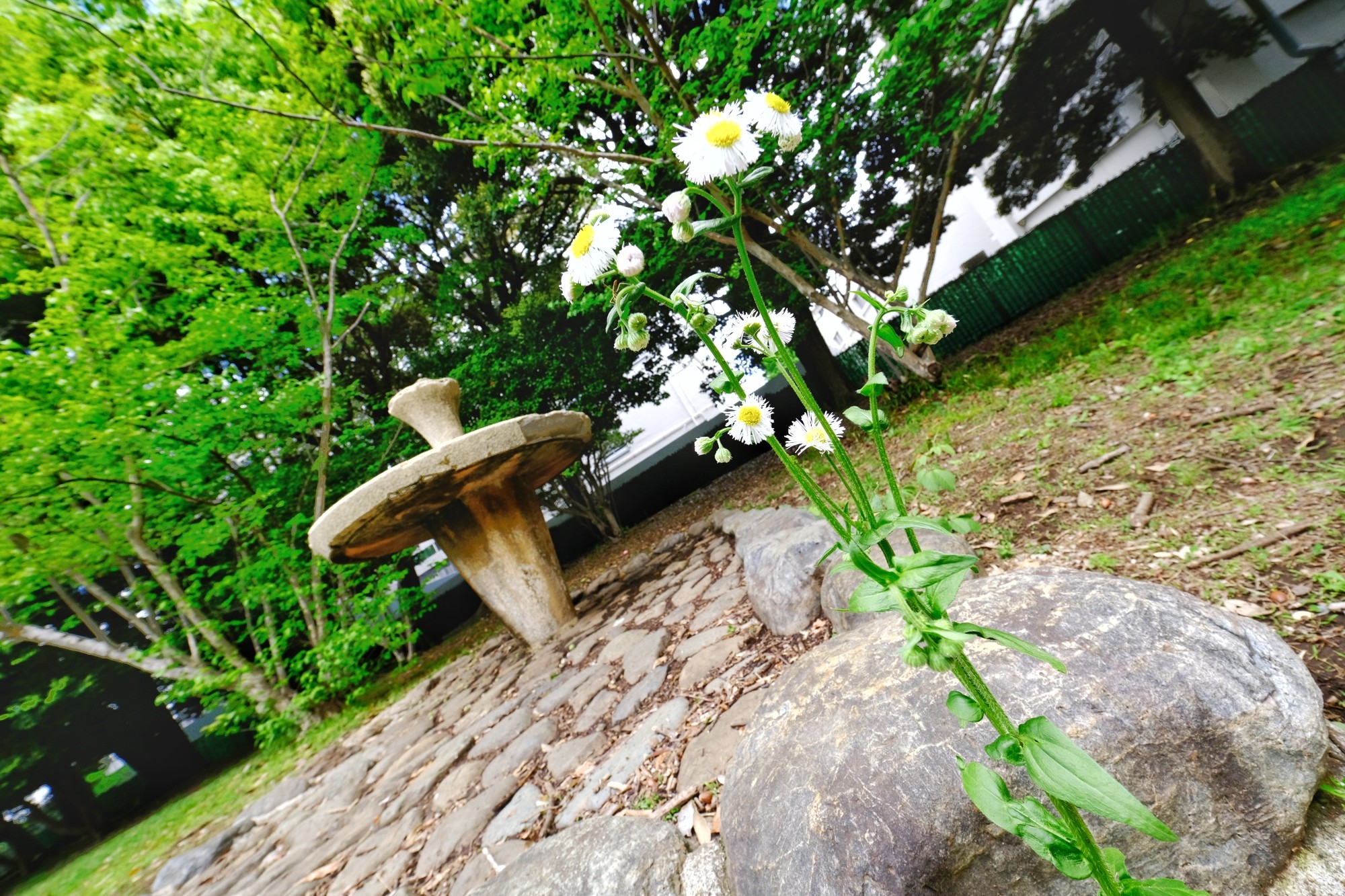 f:id:bin-paku:20240425115701j:image f:id:bin-paku:20240425115701j:image
