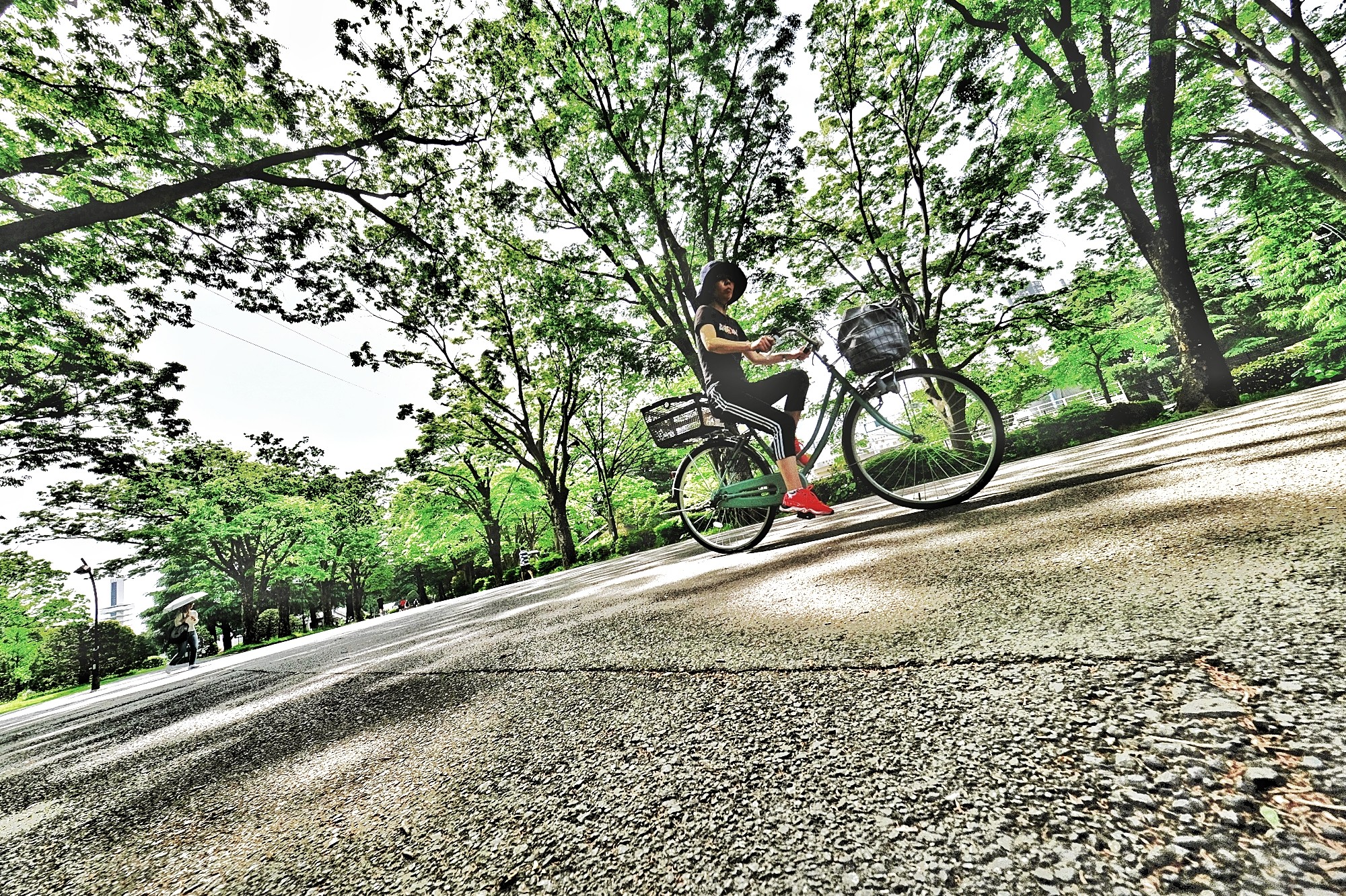 f:id:bin-paku:20240429172550j:image