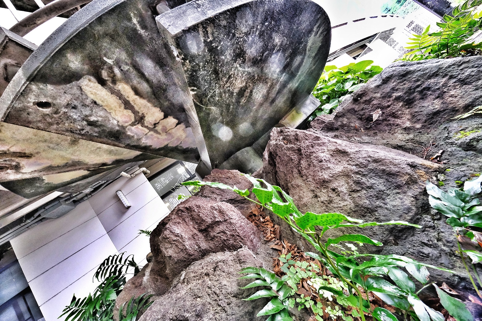 f:id:bin-paku:20240516143711j:image f:id:bin-paku:20240516143711j:image