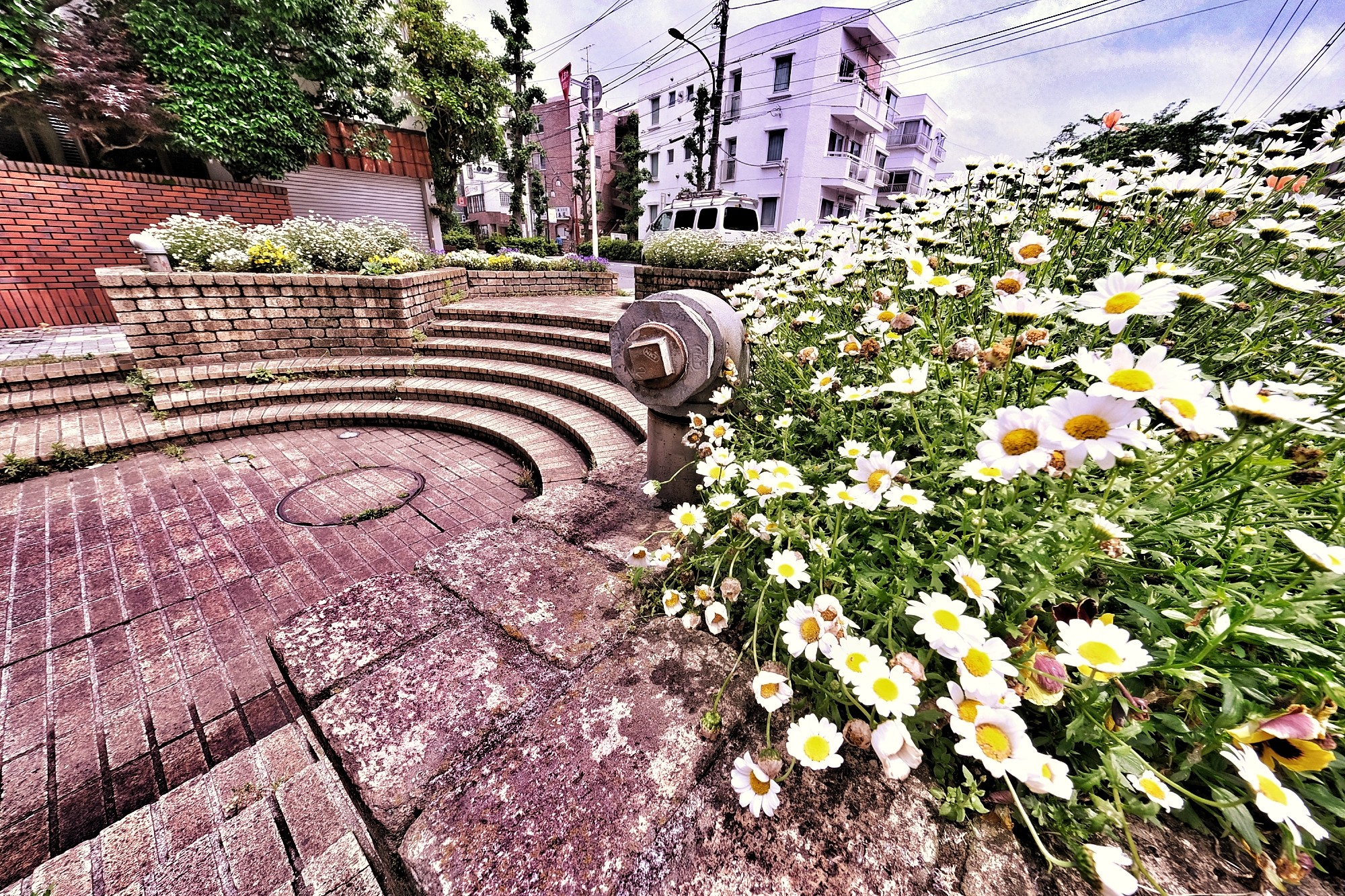 f:id:bin-paku:20240516143901j:image f:id:bin-paku:20240516143901j:image