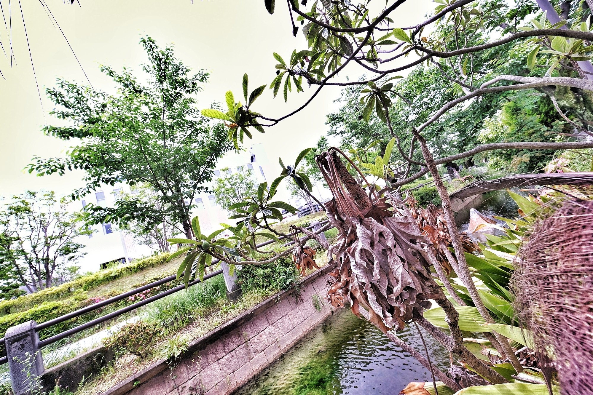 f:id:bin-paku:20240516145411j:image f:id:bin-paku:20240516145411j:image