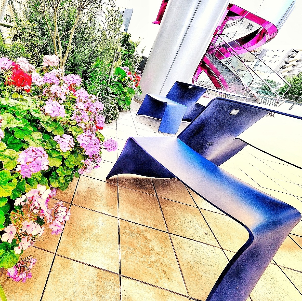 f:id:bin-paku:20240530113817j:image f:id:bin-paku:20240530113817j:image