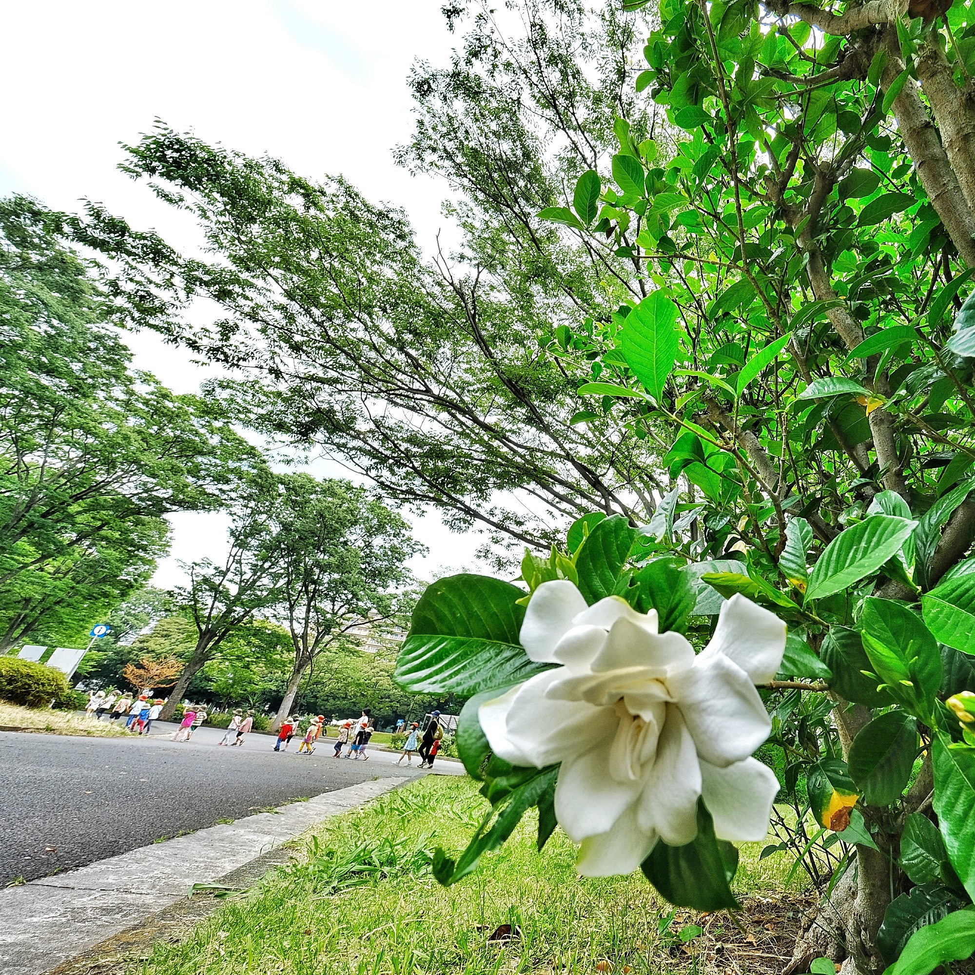 f:id:bin-paku:20240617120912j:image